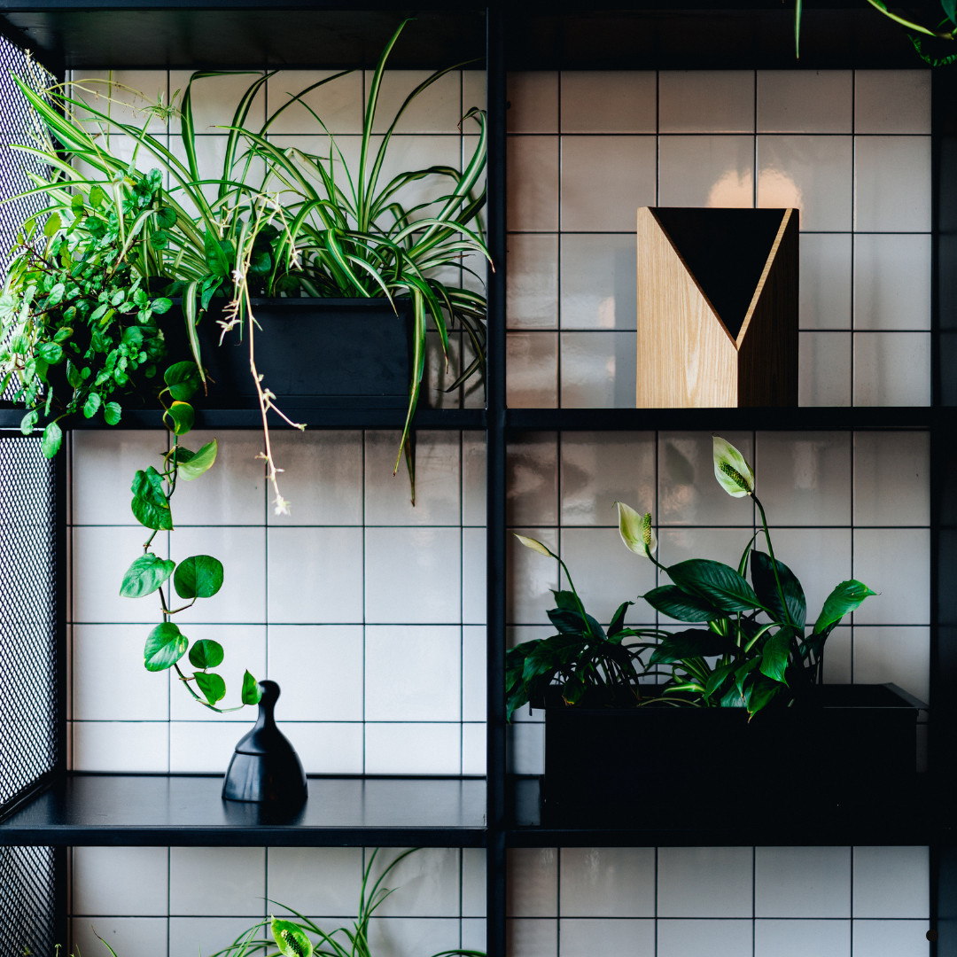 Versatile Shelving Unit Collection: Stylish, Functional & Space-Saving Designs - Provance Decoration